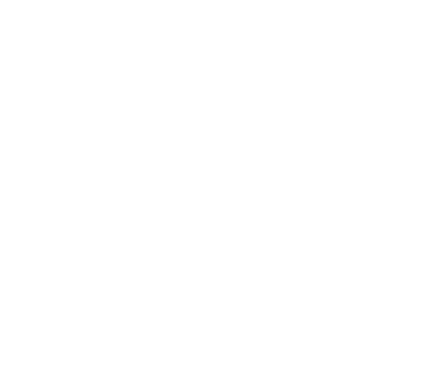 shockwave icon white